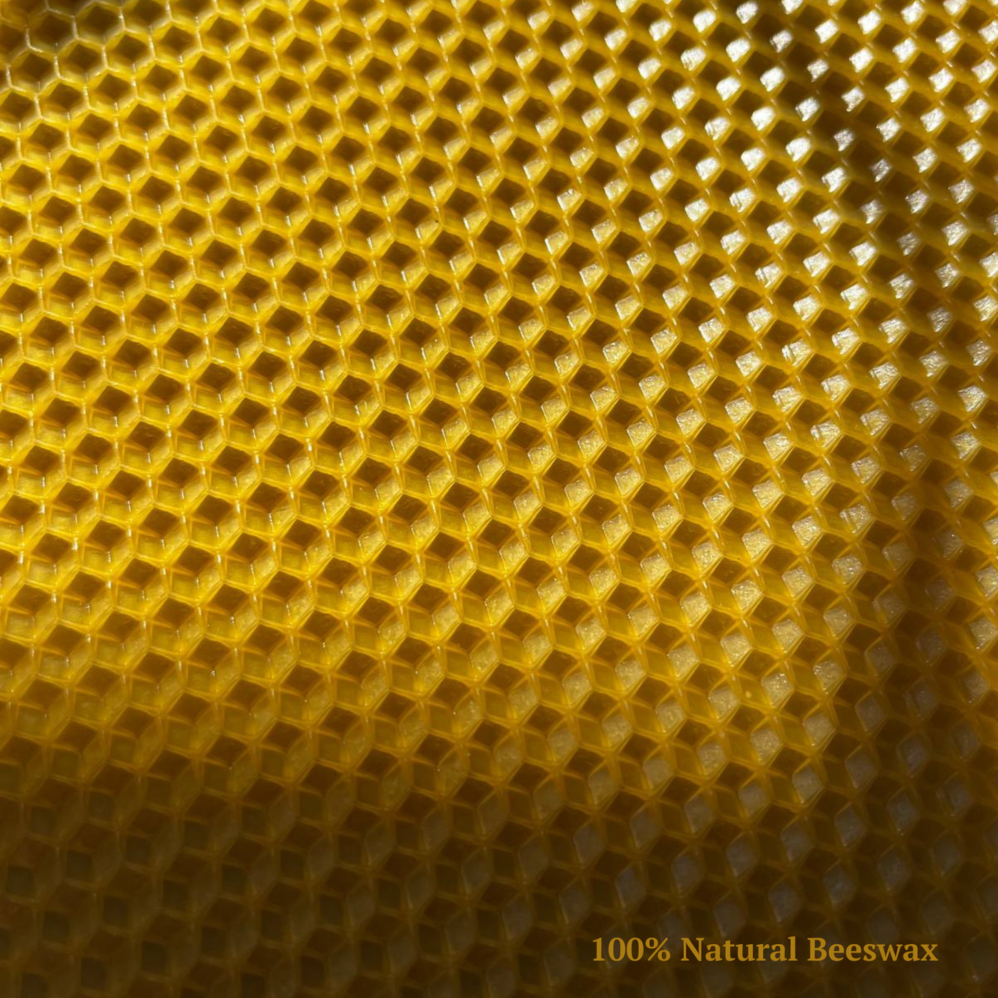 Bulk Beeswax Sheets 8×8 for Candle Making – Natural Honeycomb Wax (50 or 100 Sheets)