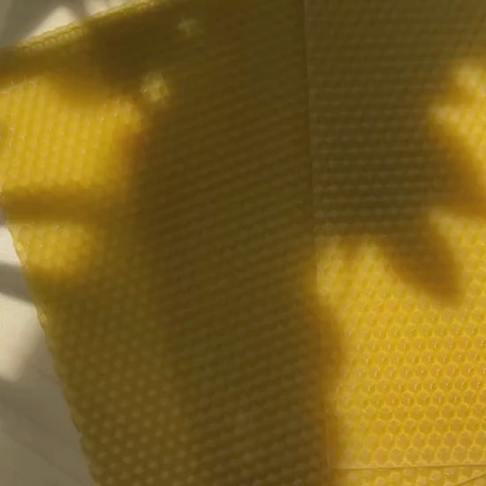 Natural beeswax sheets showing texture and flexibility in soft natural light
